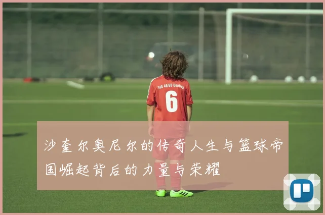 沙奎尔奥尼尔的传奇人生与篮球帝国崛起背后的力量与荣耀
