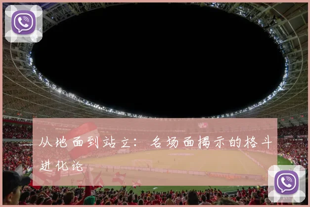 从地面到站立：名场面揭示的格斗进化论