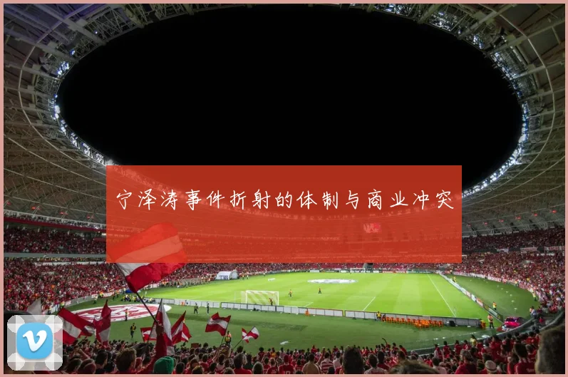宁泽涛事件折射的体制与商业冲突